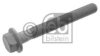 DAF 1243064 Screw